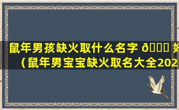 鼠年男孩缺火取什么名字 🐅 好（鼠年男宝宝缺火取名大全2020款）